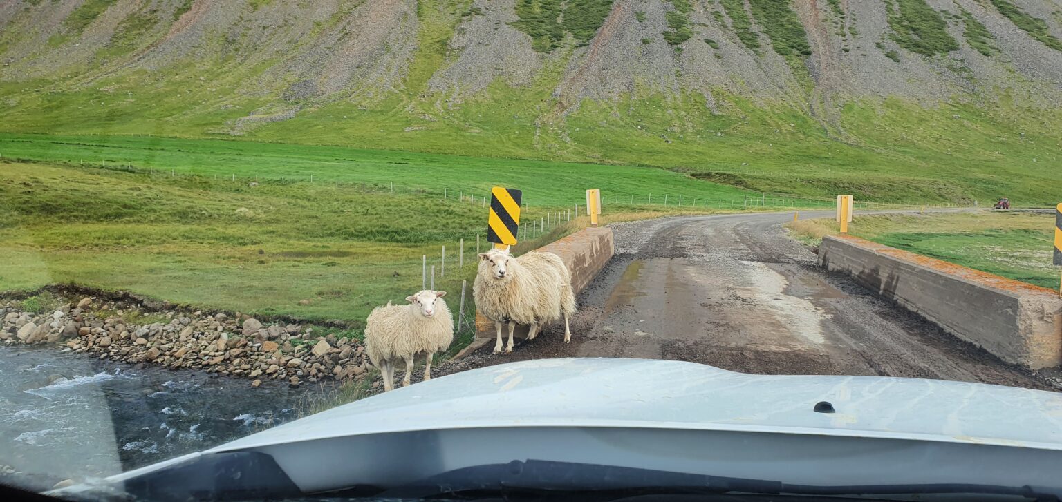 Best car rental insurance in Iceland 2024 guide Epic Iceland