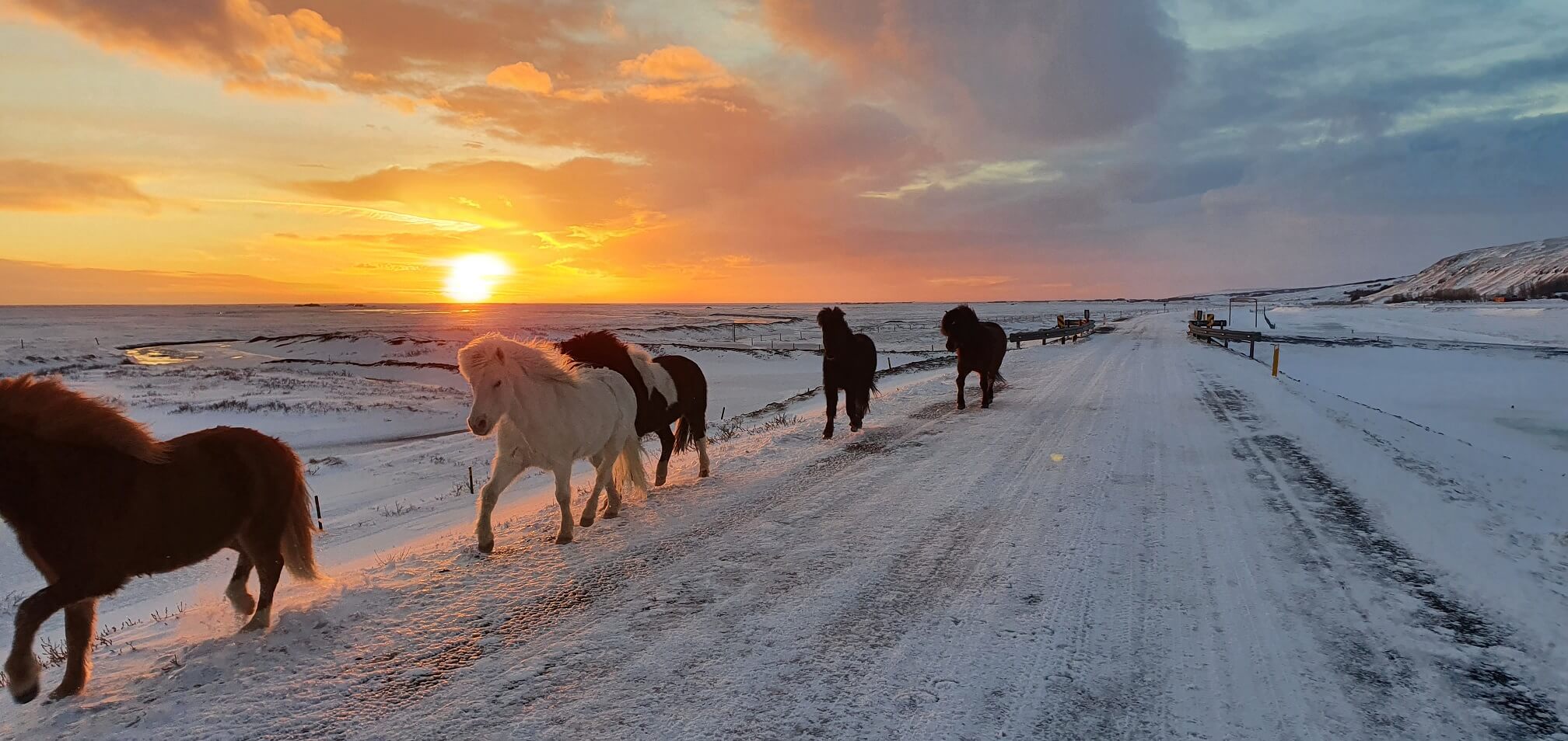 best winter sunsets iceland