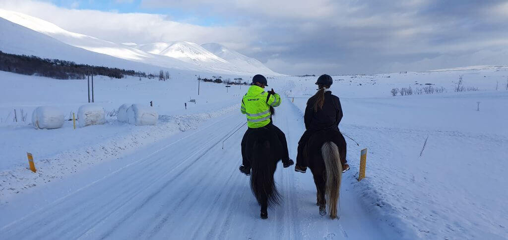 tvistur horse rental winter