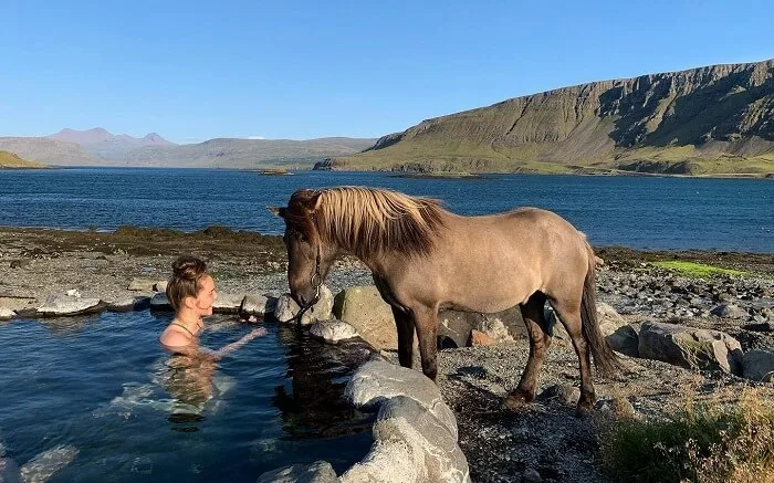 hvammsvik iceland promo code