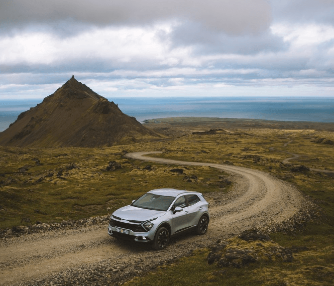 blue car rental iceland fleet