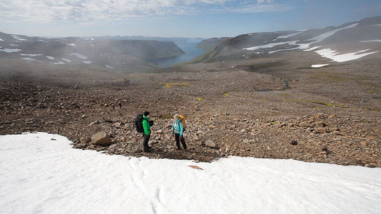 borea adventures walk on wild side tour