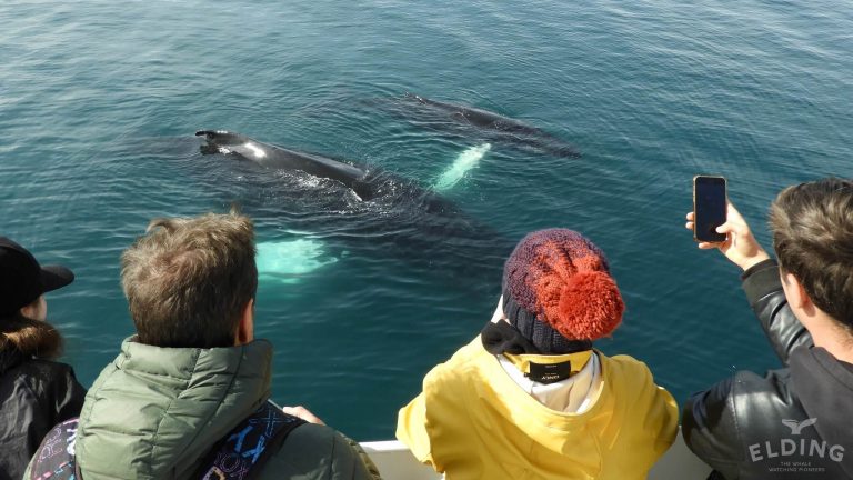 our experience with elding